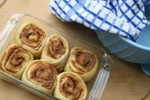 Perfect Cinnamon Rolls: before going into the refrigerator!
